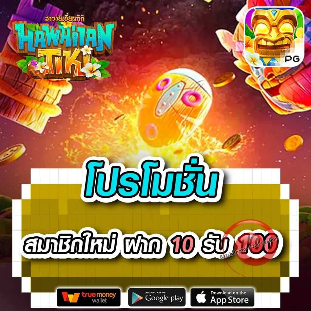 โบนัส qq-101